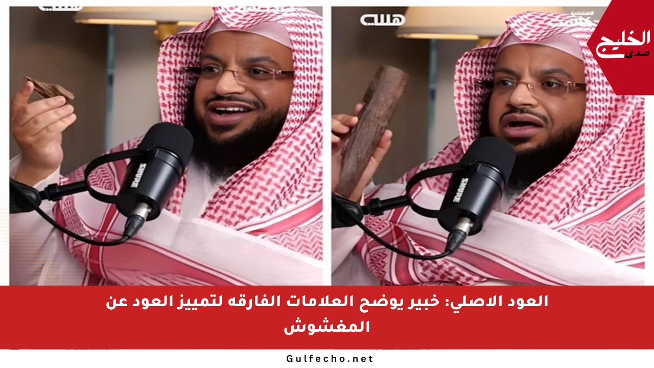 العود الأصلي: خبير يوضح العلامات الفارقة لتمييز العود عن المغشوش